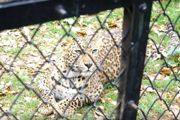 History, Heritage,Culture, Food, Travel, Lifestyle, Sports