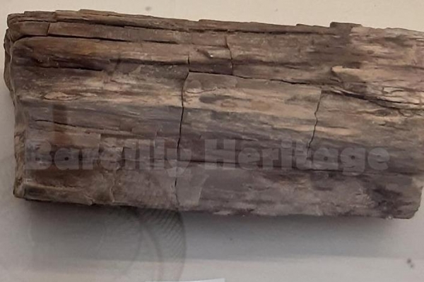 History, Heritage,Culture, Food, Travel, Lifestyle, Sports