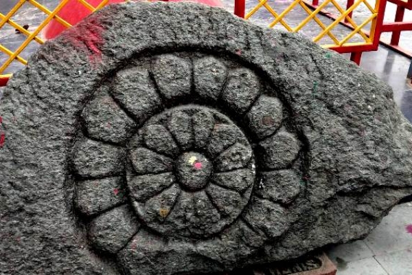 History, Heritage,Culture, Food, Travel, Lifestyle, Sports